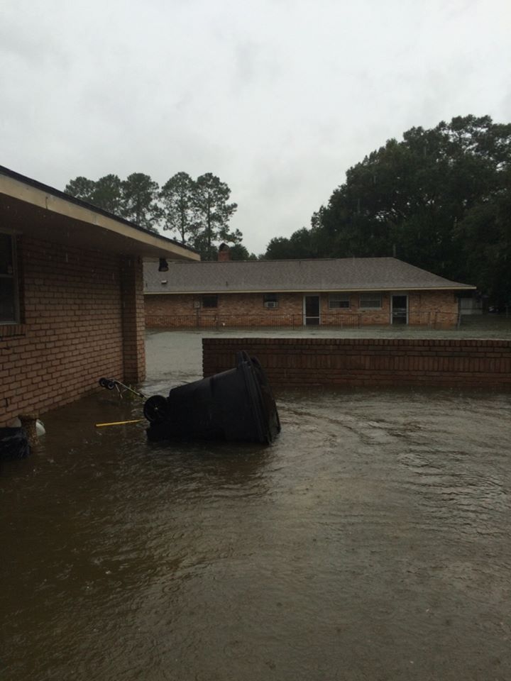 15621948_922679374533940_1609081564966377047_n